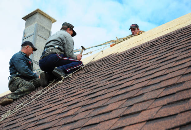 Best Metal Roofing Contractor  in Richland, WA